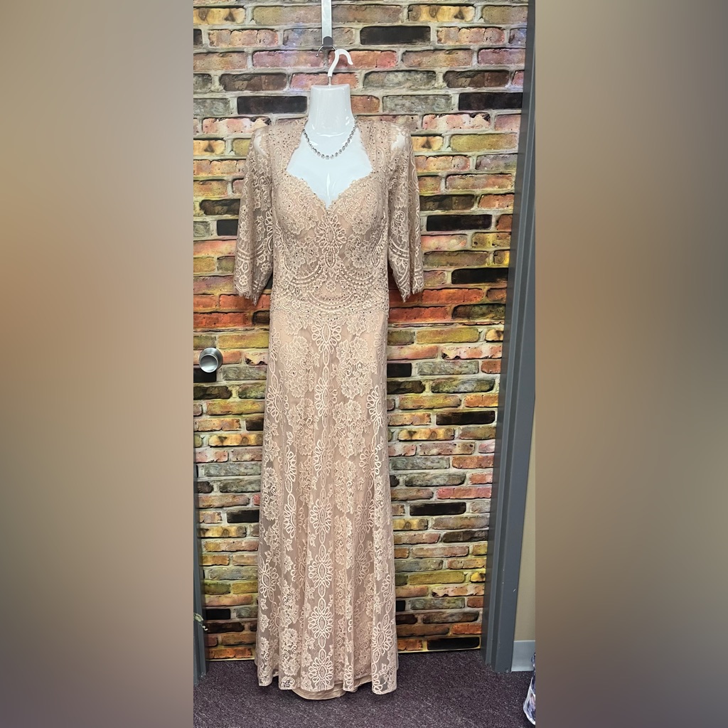 Elegant Lace Long Sleeve Evening Dress In Blush